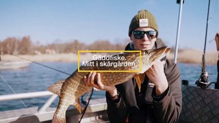 Fiske i världsklass i Karlskrona