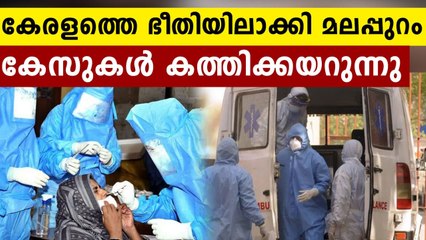 എന്തുകൊണ്ട് മലപ്പുറത്ത് ഇത്രയും കേസുകൾ ?..രക്ഷയില്ലാതെ നാട് | Oneindia Malayalam