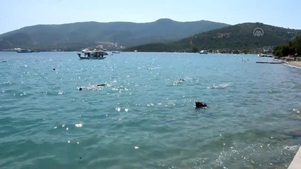 Bodrum'da deniz dibi temizliği yapıldı