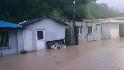 부산·경남에 많은 비...주택·도로 곳곳 침수 / YTN