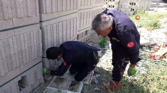 Briketler arasında mahsur kalan yavru köpek kurtarıldı