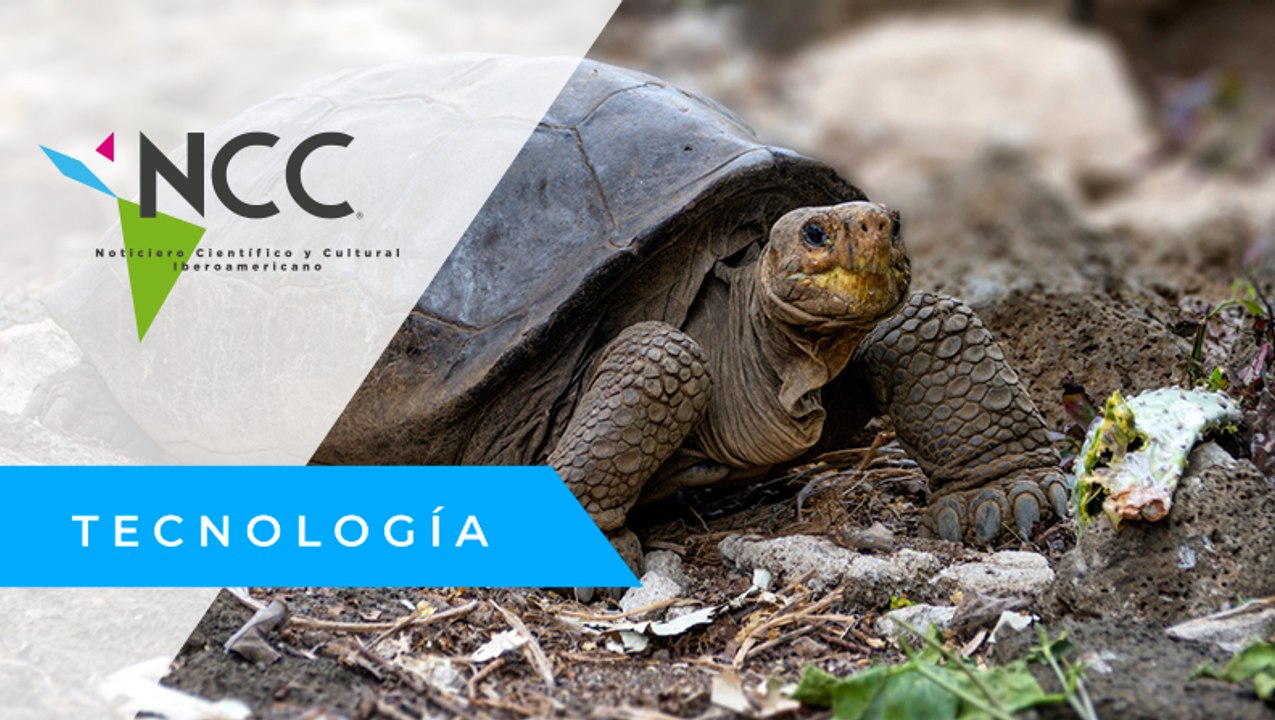 Galápagos, el archipiélago donde habitan miles de especies endémicas