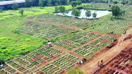 Covid-19 já matou mais de 4 milhões de pessoas