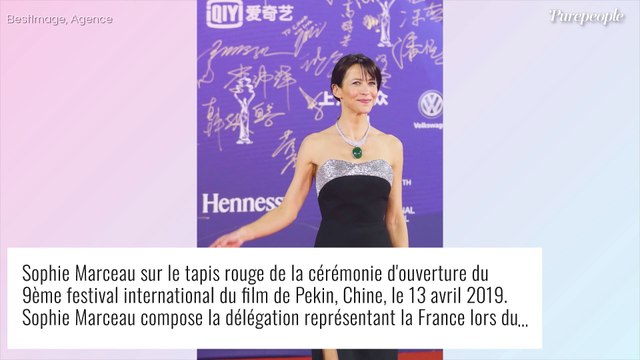 Sophie Marceau de retour au cinéma : la raison de son absence dévoilée