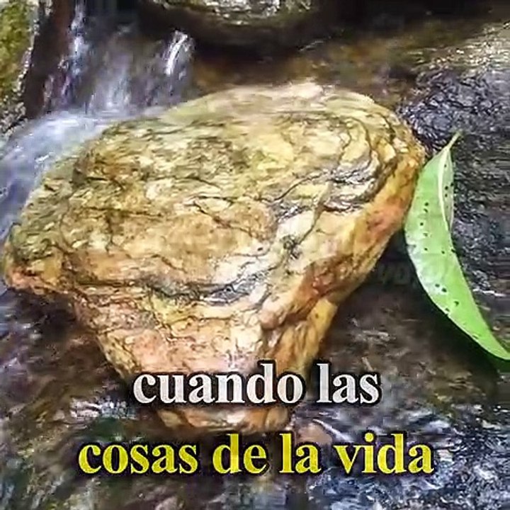 Dios te dice hoy: te voy a hablar directamente a tu corazón