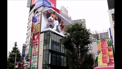 Un gros chat en 3D sur un centre commercial au japon