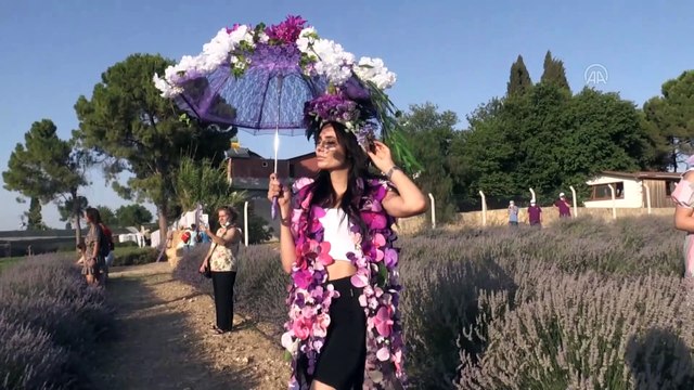 AYDIN - 1. Lavanta Festivali renkli görüntülerle başladı