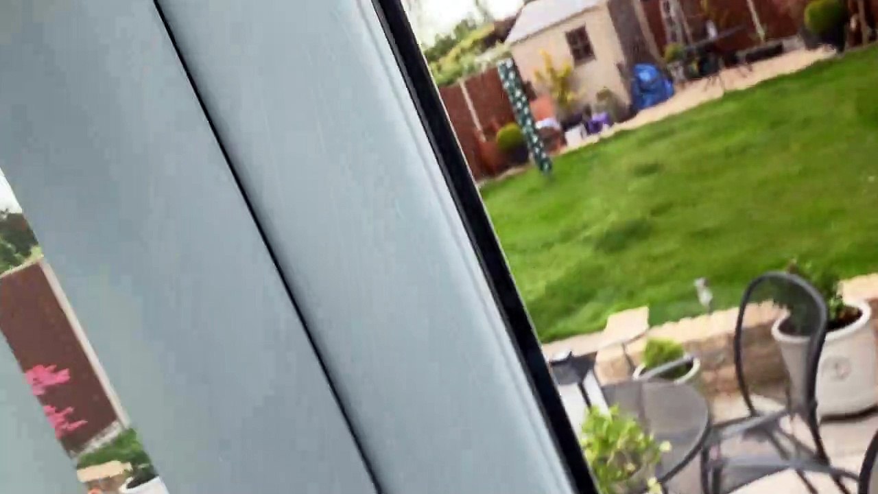 Bee Swarm Surrounds Home