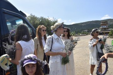 Kültür ve Turizm Bakanı'nın eşi Pervin Ersoy, lavanta bahçesini gezdi
