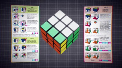 Esto Es Lo Que Había Dentro de Este Extraño Capullo