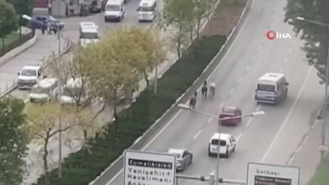 Bursa'da başıboş atlar trafiği birbirine kattı