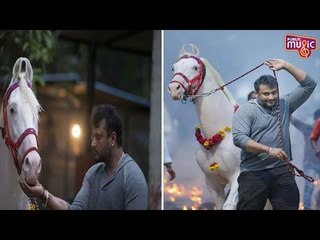 Challenging Star Darshan Celebrates Sankranti Festival At His Farmhouse