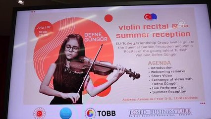 AB-Türkiye Dostluk Grubundan resepsiyon