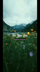 Saiyaara | saiyaara main saiyaara song | salmaan khan songs | songs | bollywood songs | ek tha tiger | nature | drone view | nature view | music | status | whatsapp status