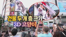 [세상만사] 일본 도쿄 신주쿠역 앞 대형 3D 고양이 큰 인기 / YTN