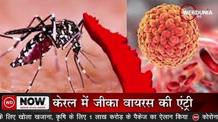 कोरोनावायरस की तीसरी लहर की दस्तक, देशभर में Delta+ के 80 से ज्यादा मामले