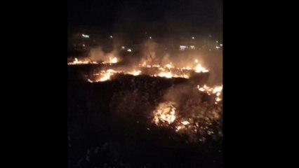 Bursa’da eğlence uğruna çalılıkları yaktılar