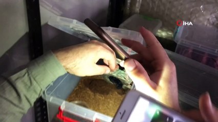 Yasadışı hayvan ticaretine jandarma engeli