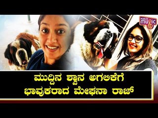 Meghana Raj Says Her House 'will Never Be The Same', Mourns The Loss Of Her Pet Dog Bruno