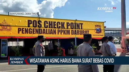 Video herunterladen: Petugas Periksa Surat Vaksin dan Bebas Covid-19 Wisatawan Asing yang Hendak ke Pulau Jawa