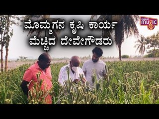 ಮೊಮ್ಮಗನ ಕೃಷಿ ಕಾರ್ಯ ಮೆಚ್ಚಿದ ದೇವೇಗೌಡರು | Nikhil Kumaraswamy | H D Devegowda