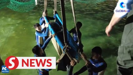 Rescue of stranded whales concludes in east China's Zhejiang
