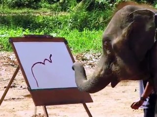 This elephant is painting. It looks really amazing