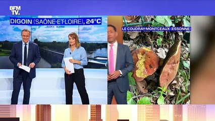 La météo pour ce jeudi 8 juillet 2021
