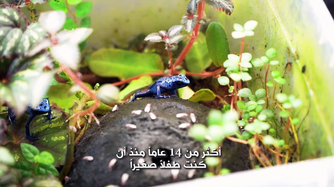 وظيفة أحلامي: رجل الزواحف