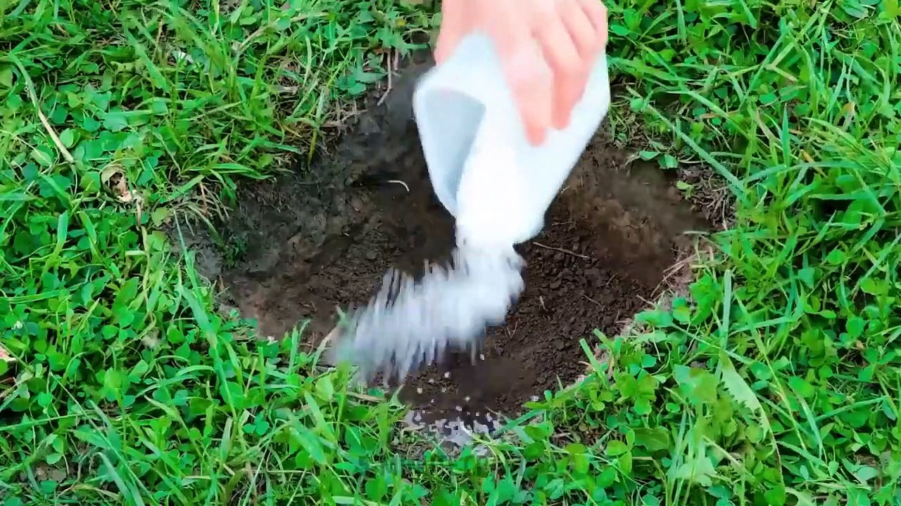 Useful Home Hacks || How To Get Rid Of Insects, Preserve Food Longer And More