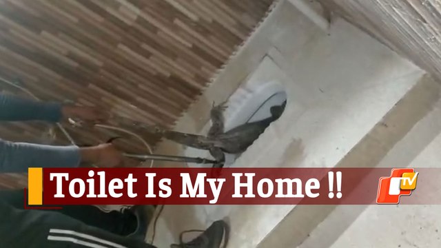 Bhubaneswar: Giant Bengal Monitor Lizard Rescued From Washroom Of A House