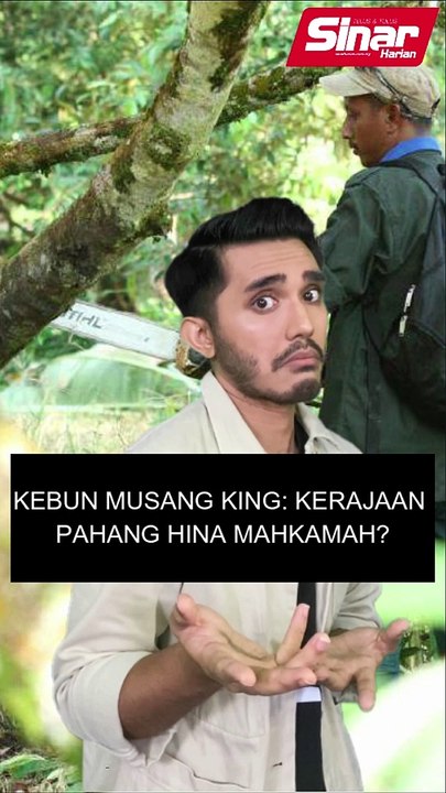 Kebun musang king: Kerajaan Pahang hina mahkamah?