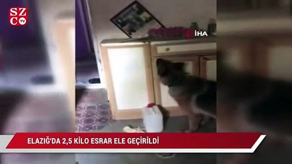 Elazığ’da 2,5 kilo esrar ele geçirildi