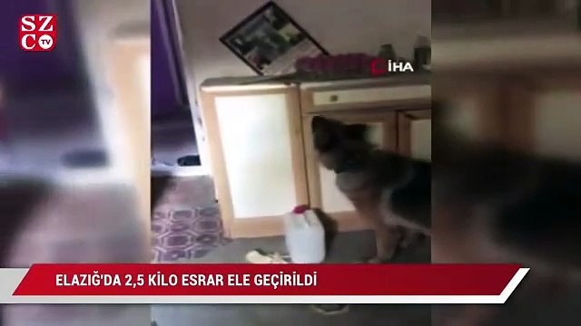 Elazığ’da 2,5 kilo esrar ele geçirildi