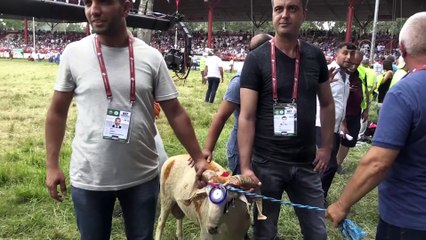 EDİRNE - Kırkpınar Ağası Selim: 'Ben gençlerden yeni bir pehlivan çıksın istiyorum'