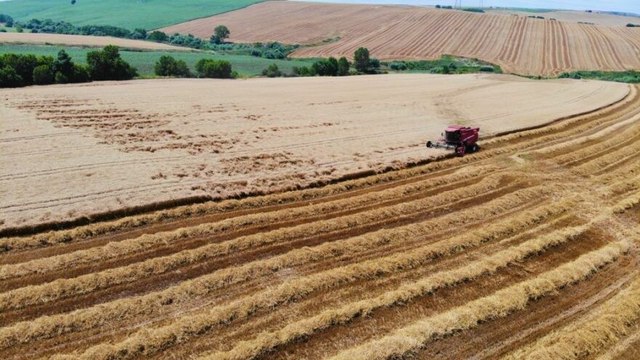 Doğuda kuraklık, Trakya’da görülmemiş bolluk