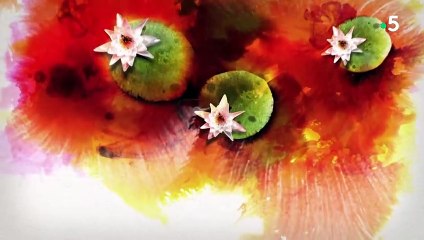 Générique de "Silence ça pousse !" sur France 5