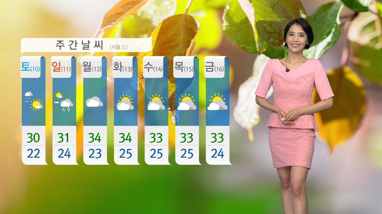 [날씨] 내륙 곳곳 소나기...내일 낮부터 더위 기승 / YTN