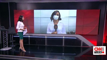 Martıların ölüm nedeni kirlilik mi?