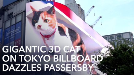 Gigantic 3D cat on Tokyo billboard dazzles passersby