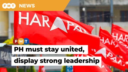 PH action plan needed to address several pressing issues, says DAP MP