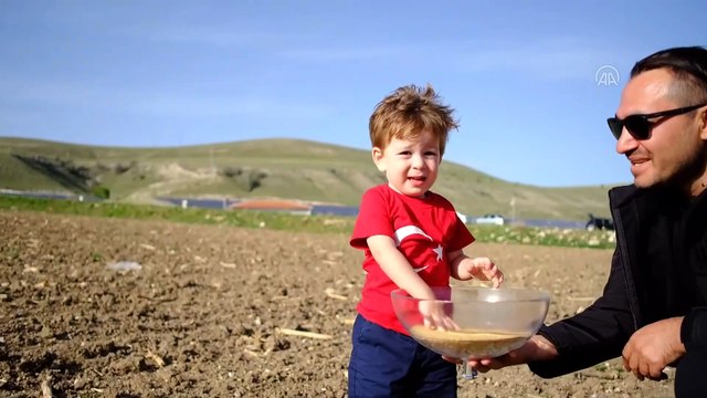 AFYONKARAHİSAR - İş insanı tıbbi ve aromatik bir bitki olan 'amarant' üretiminde söz sahibi olmak istiyor