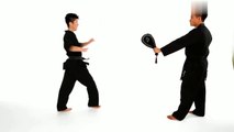 28-Taekwondo Step Behind Technique - Taekwondo Training
