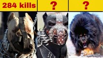 Top 6 MOST Dangerous Dog Breeds in the World (2021) | इन कुत्तों से सावधान