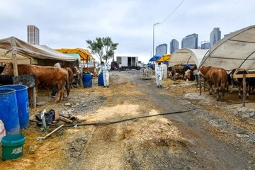 Esenyurt Belediyesi, özel tedbirler ile kurban pazarında hizmette
