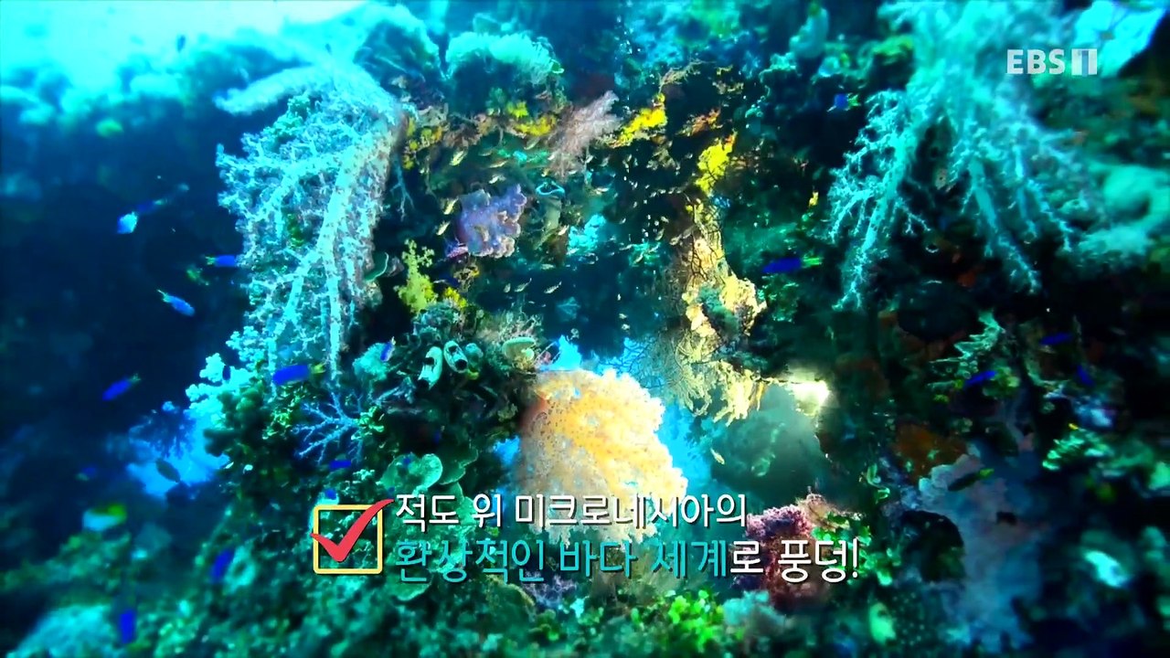 세계테마기행 - 여름날의 꿈- 파란 나라를 보았니! 필리핀_#001
