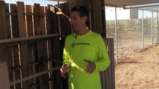 Pallet Chicken Coop | Desert Coop Design