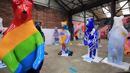 Bears of Sheffield preview