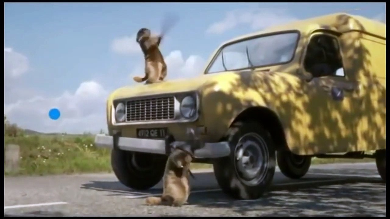 Les marmottes font leur cinéma
