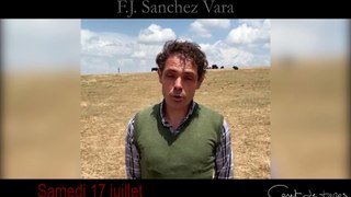 F.J. Sanchez Vara